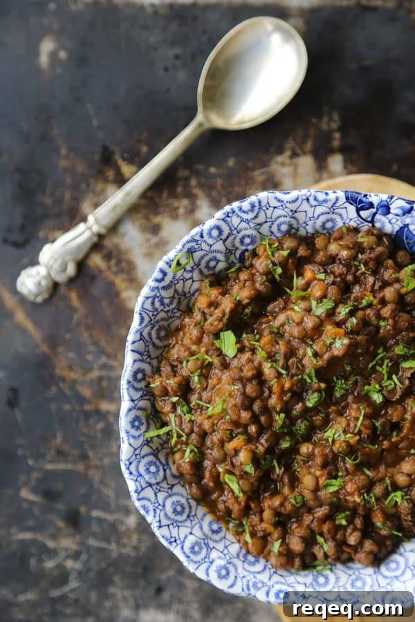 Hearty Ham and Lentil Stew Recipe for Cozy Weeknight Meals 2 Lentil Stew with ham