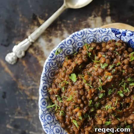 Hearty Ham and Lentil Stew Recipe for Cozy Weeknight Meals 4 Lentil Stew with ham