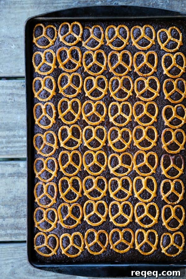 Chocolate Pretzel Sheet Cake from foodiewithfamily.com