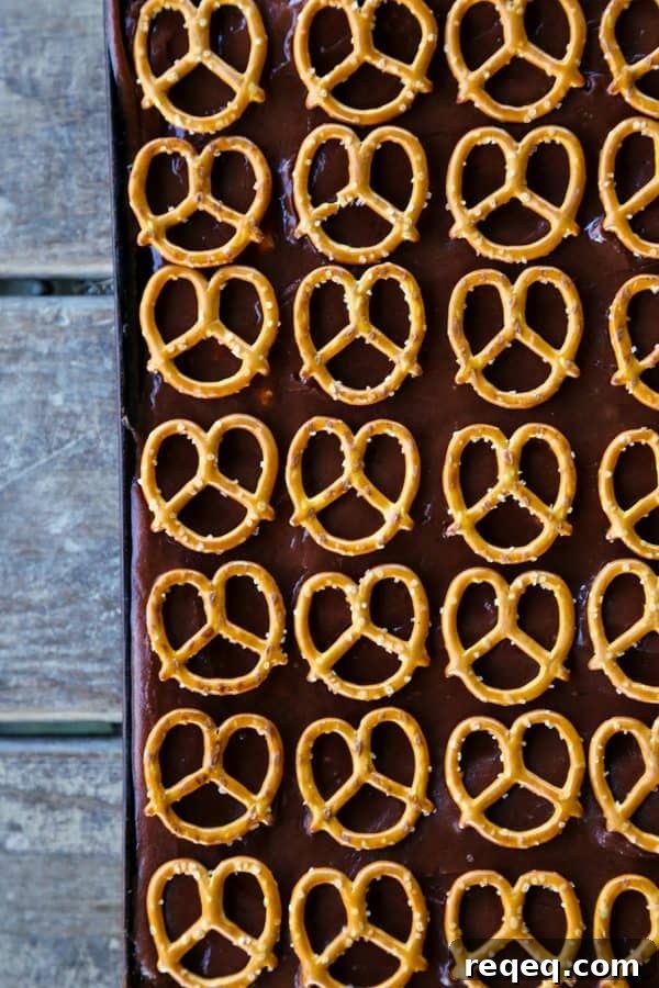 Chocolate Pretzel Sheet Cake from foodiewithfamily.com