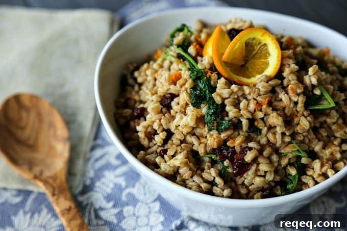 Kale and Farro Salad with Lemon-Parmesan Dressing 2 Garlicky Farro Salad with Kale, dried cherries, and orange from foodiewithfamily.com