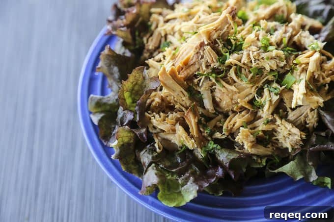 Slow Cooker Lemongrass Pork from foodiewithfamily.com
