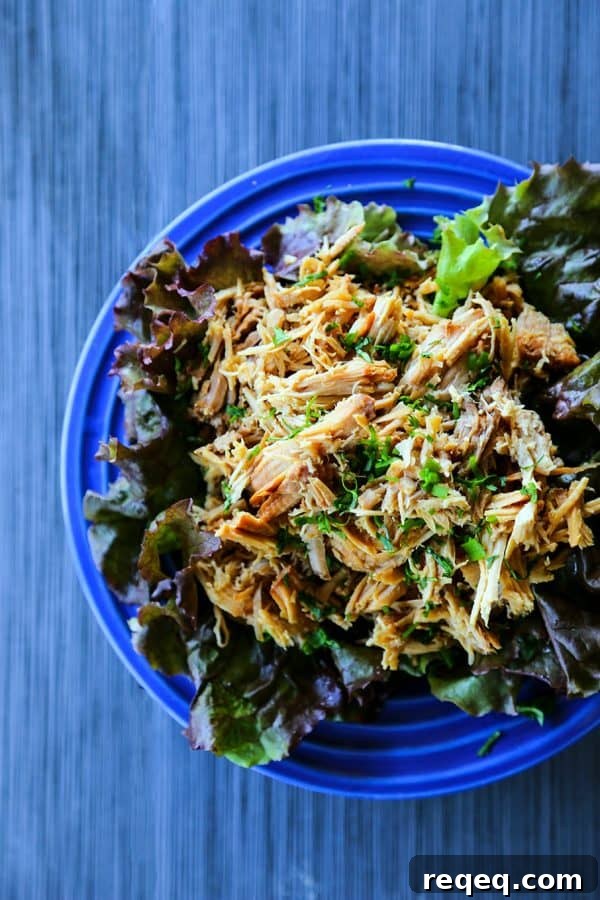 Slow Cooker Lemongrass Pork from foodiewithfamily.comSlow Cooker Lemongrass Pork from foodiewithfamily.com