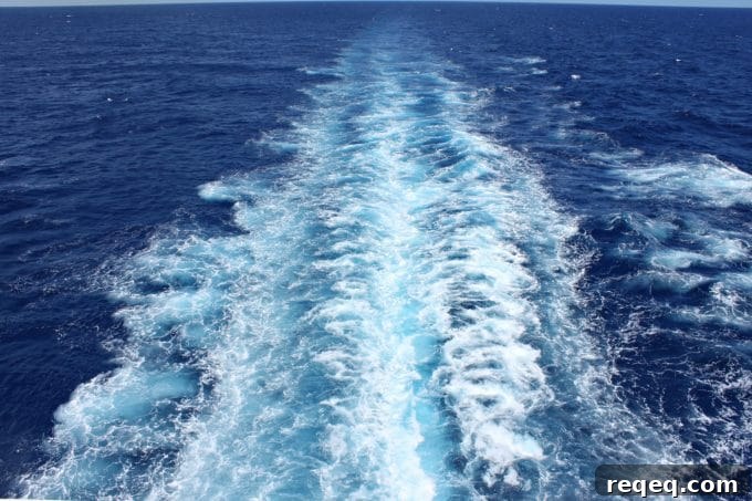 Make an Impact with Fathom Travel — Volunteer and Explore Abroad 12 Onboard atmosphere