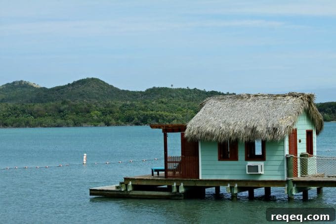 Make an Impact with Fathom Travel — Volunteer and Explore Abroad 19 Harbor activity