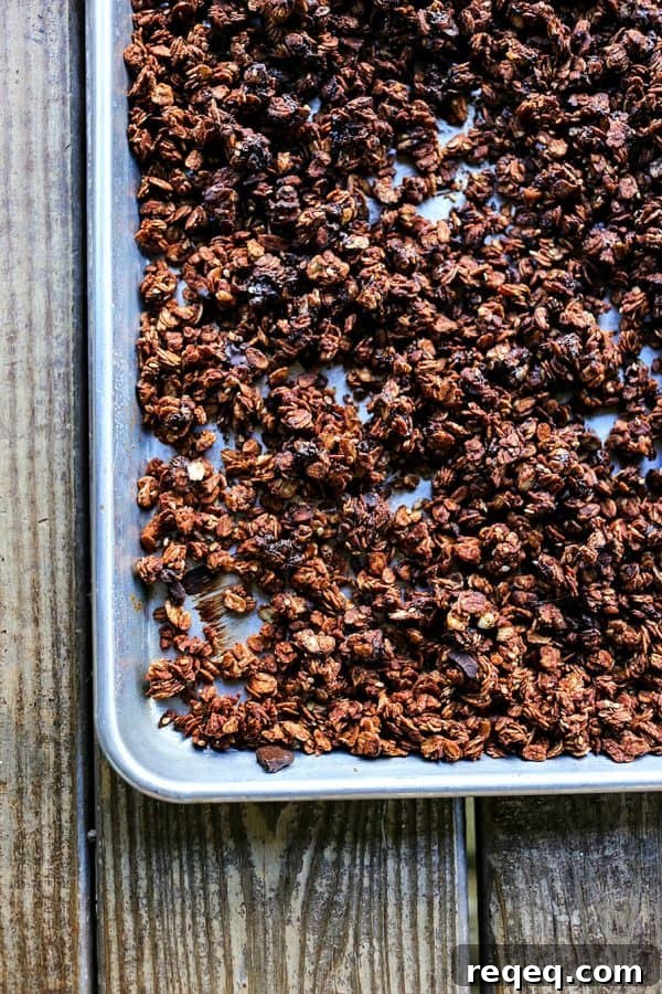 Double Chocolate Granola Recipe with Crunchy Cacao Clusters 2 Double Chocolate Granola from Foodie with Family