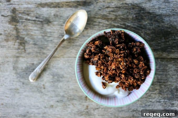 Double Chocolate Granola Recipe with Crunchy Cacao Clusters 3 Double Chocolate Granola from Foodie with Family