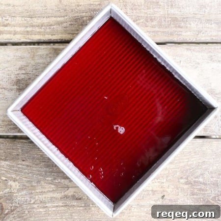 Cranberry Ginger Gelatin Fingers: Festive Holiday Dessert Recipe 12 Cranberry Ginger Finger Gelatin to celebrate Ocean Spray and 200 years of cranberry cultivation!