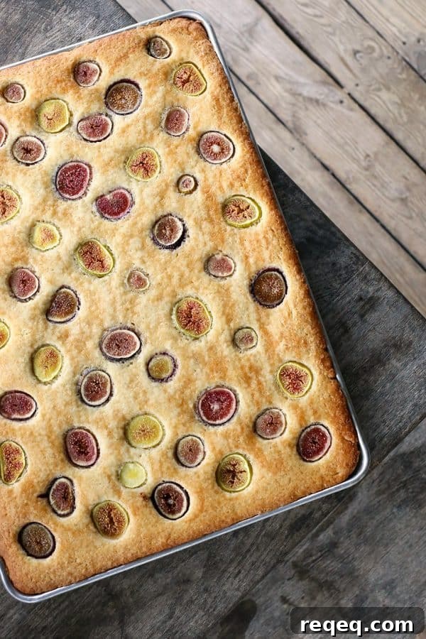 Fig and Honey Snack Cake Recipe — Moist Fig Cake for Tea Time 3 Simple buttery, vanilla Fig and Honey Snack Cake celebrates the brief glory of fresh figs!