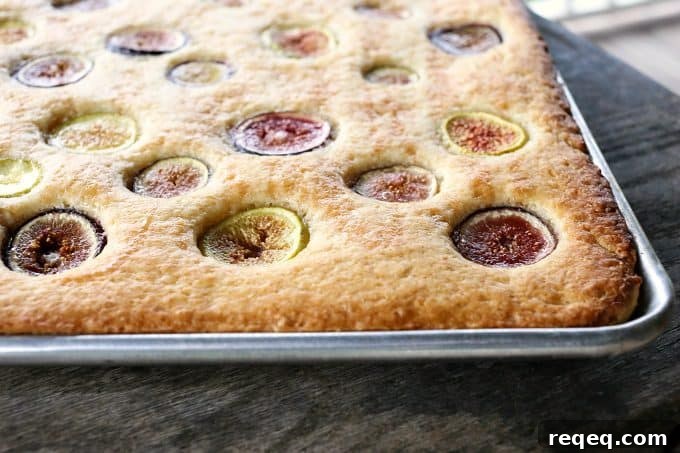 Fig and Honey Snack Cake Recipe — Moist Fig Cake for Tea Time 4 Simple buttery, vanilla Fig and Honey Snack Cake celebrates the brief glory of fresh figs!