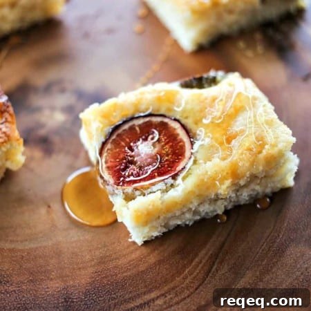 Simple buttery, vanilla Fig and Honey Snack Cake celebrates the brief glory of fresh figs!