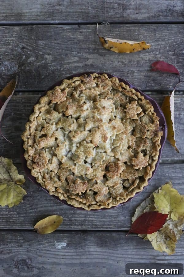 Maple Chai Apple Pie Recipe with Warm Spices and Flaky Crust 3 Maple Chai Apple Pie: Creamy, rich, chai spiced apple pie.