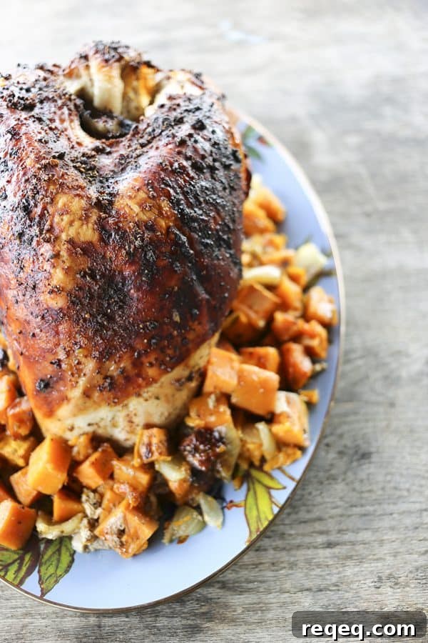 Cranberry Spice Dry Rub Recipe for Pork, Chicken, and Turkey 4 Cranberry Dry Rubbed Turkey Breast made withCranberry Dry Rub Spice Blend for poultry, venison, beef, pork, fish, and vegetables.