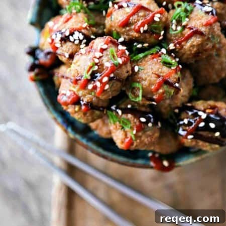 Asian Turkey Meatballs
