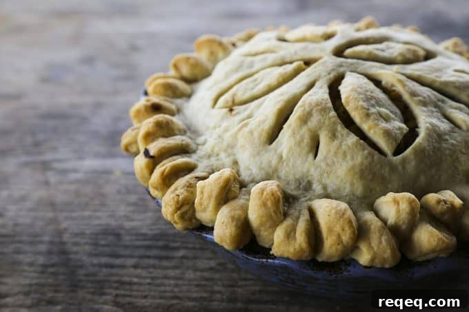 Hearty Meat-and-Potatoes Pie Recipe for Comforting Dinners 3 Meat and Potatoes Pie: flaky butter crust filled to bursting with lean beef or venison, potatoes, onions, carrots, rutabaga, and baked to perfection before being topped with luscious brown gravy!