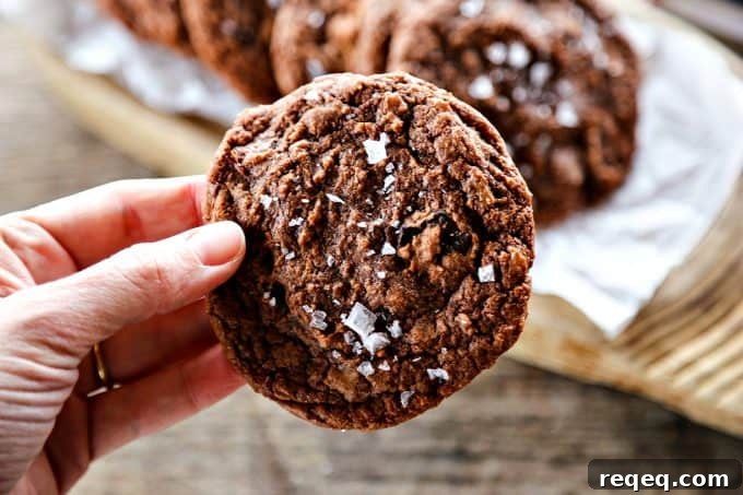 Double Chocolate Nutella Cookies with Crunchy Nuts 5 Way too easy to taste this good, Easy Double Chocolate Nutella Cookies with a dusting of sea salt from and a review of Sweet & Simple by Christina Lane.