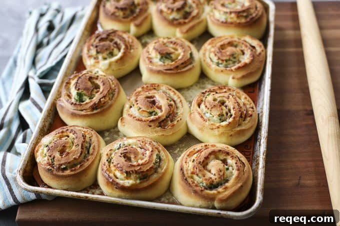 Hot Ham and Cheese Rolls: best bread dough wrapped around smoky ham, piles of Cheddar cheese, and green onions, sliced, and baked to tender perfection.