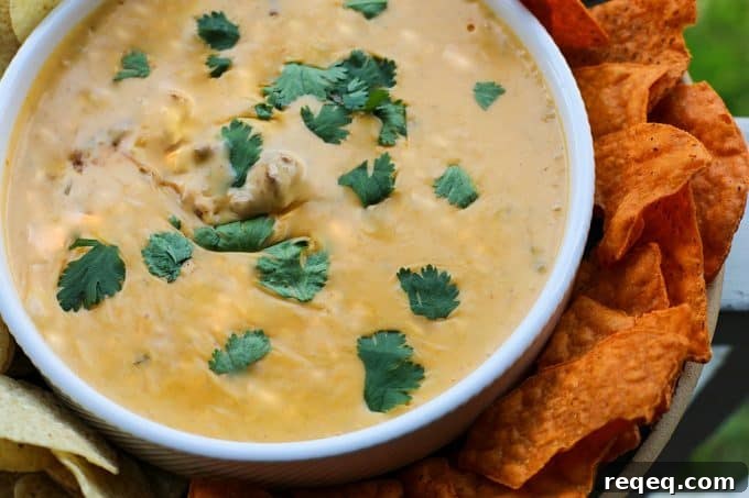 Spicy Chili con Queso Dip Recipe for Parties and Game Day 5 Ooey-gooey, chile studded heavenly queso smothers your favourite chili for a bowl of the ultimate Chili Con Queso Dip. Get those chips ready to go!