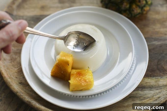 Piña Colada Tembleque: Pineapple Coconut Pudding Recipe 4 Piña Colada Tembleque - Pineapple Coconut Pudding #DairyFree #Vegan