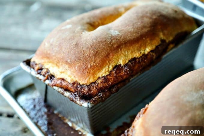 Pumpkin Cinnamon Swirl Quick Bread Recipe 3 Pumpkin Cinnamon Swirl Bread is an irresistible golden-orange hued, soft, fine-crumbed bread with a decadent swirl of buttery cinnamon sugar.