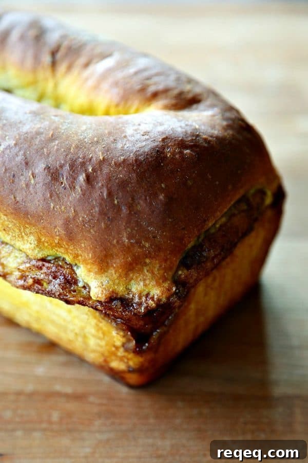 Pumpkin Cinnamon Swirl Quick Bread Recipe 4 Pumpkin Cinnamon Swirl Bread is an irresistible golden-orange hued, soft, fine-crumbed bread with a decadent swirl of buttery cinnamon sugar.