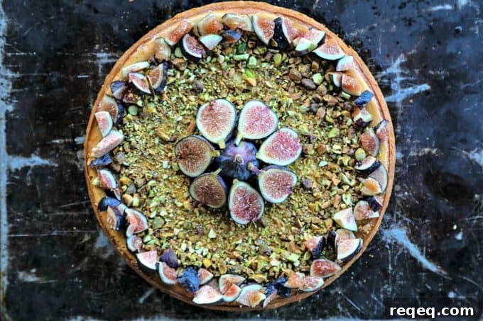 Fig, Pistachio & Honey Goat Cheese Cheesecake Recipe 3 Vanilla bean flecked Fig Pistachio Honey Goat Cheese Cheesecake