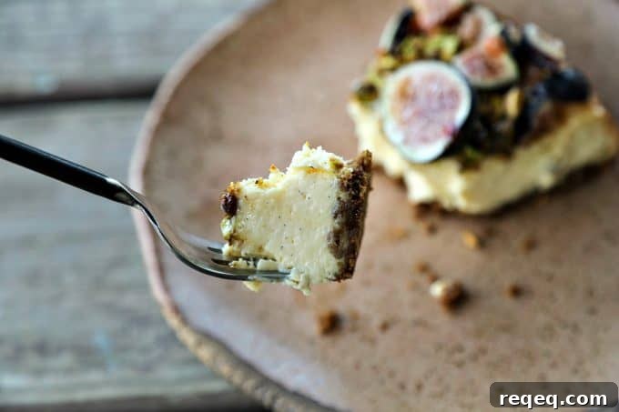 Fig, Pistachio & Honey Goat Cheese Cheesecake Recipe 4 Cheesecake close-up