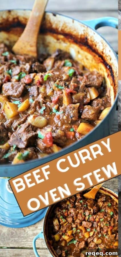 Hearty Beef Curry Stew Recipe for Comforting Weeknight Meals 6 Beef Curry Stew is filled with tender beef cubes, potatoes, carrots, & onions slow-cooked in a flavourful gravy made with soul-warming curry spices.