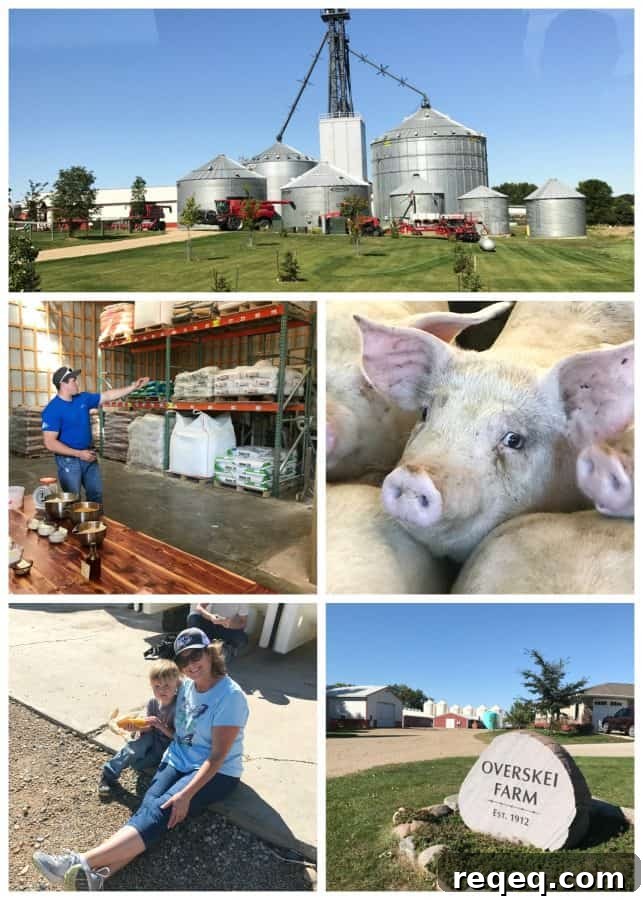 Explore Sioux Falls: Top Attractions, Dining, and Things to Do 3 Overskei Farm, South Dakota. Pipestone Veterinary System.