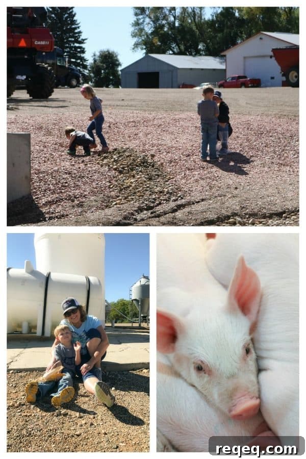 Explore Sioux Falls: Top Attractions, Dining, and Things to Do 4 Overskei Farm, South Dakota. Pipestone Veterinary System.