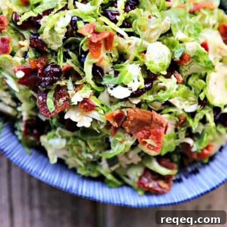 Cranberry Brussels Sprout Salad with Bacon Vinaigrette 3 Cranberry Brussels Salad with Bacon Vinaigrette: shredded brussels sprouts, crisp bacon, dried cranberries, craisins, blue and white oval serving bowl, wooden background