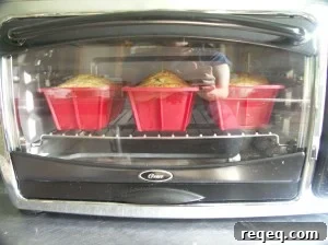 fun-house-mirror-zuke-bread-in-toaster-oven