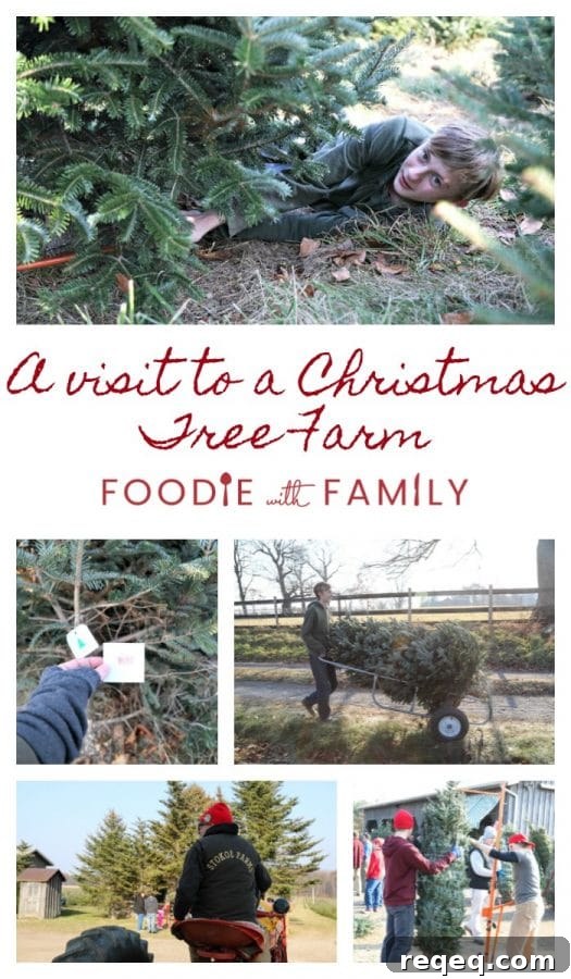 Stokoe Farms Legendary Sugar Cookie Recipe 4 The Legendary Sugar Cookies baked by the thousands by hand from the kitchen of Martha Stokoe. These tender, fluffy, delicate, old-fashioned buttermilk sugar cookies are truly the stuff of legend.