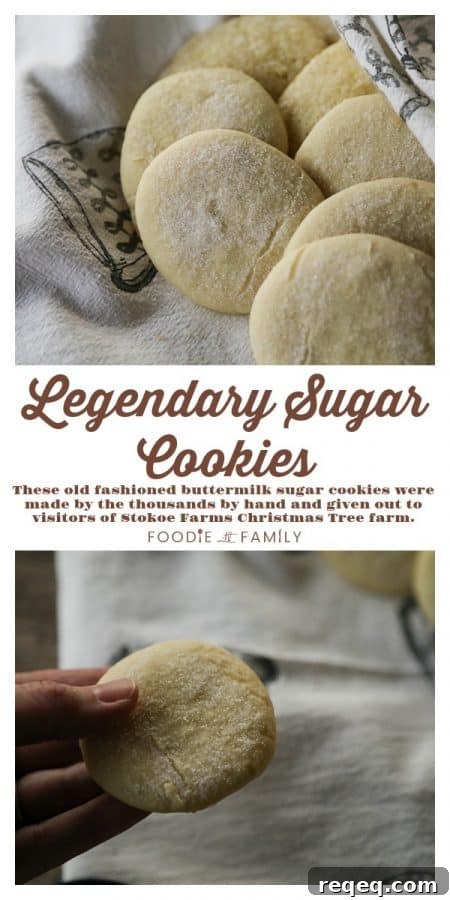 Stokoe Farms Legendary Sugar Cookie Recipe 9 The Legendary Sugar Cookies baked by the thousands by hand from the kitchen of Martha Stokoe. These tender, fluffy, delicate, old-fashioned buttermilk sugar cookies are truly the stuff of legend.