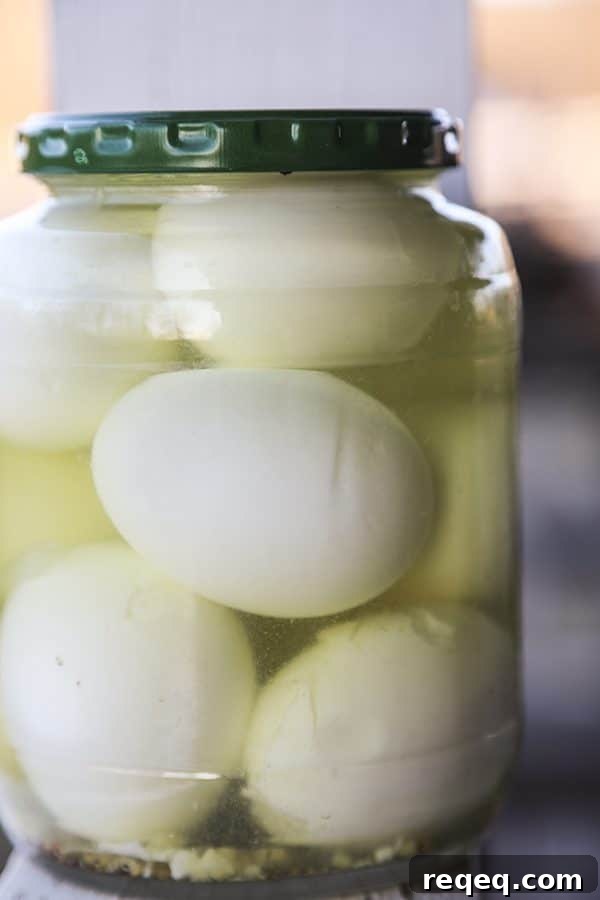 Pickled eggs for Dill Pickle Egg Salad jar of pickled eggs in Claussen pickle brine