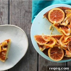 Orange Olive Oil Cake with Candied Oranges