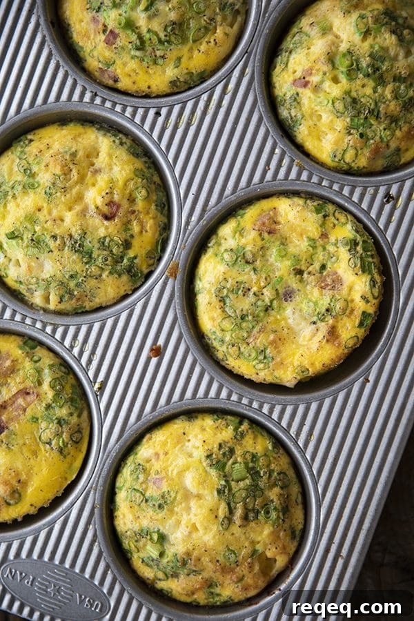 Muffin Tin Eggs; craveable crisped ham, green onions, Cheddar cheese, and egg baked to puffy, golden perfection. These egg muffins are a perfect topper for toasted English muffins or beside a salad for a full, light meal.