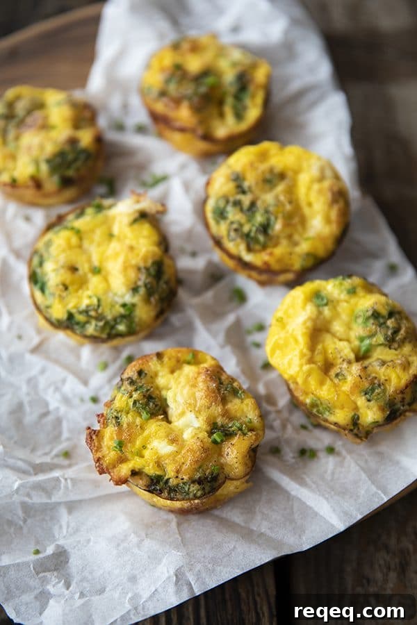 Muffin Tin Eggs; craveable crisped ham, green onions, Cheddar cheese, and egg baked to puffy, golden perfection. These egg muffins are a perfect topper for toasted English muffins or beside a salad for a full, light meal.