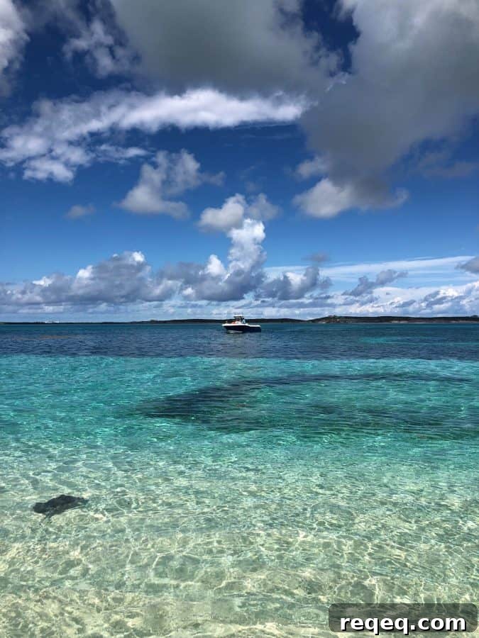 Grapefruit Sorbet Recipe and Caribbean Princess Excursions Guide 7 Gibbs Cay and Snorkeling