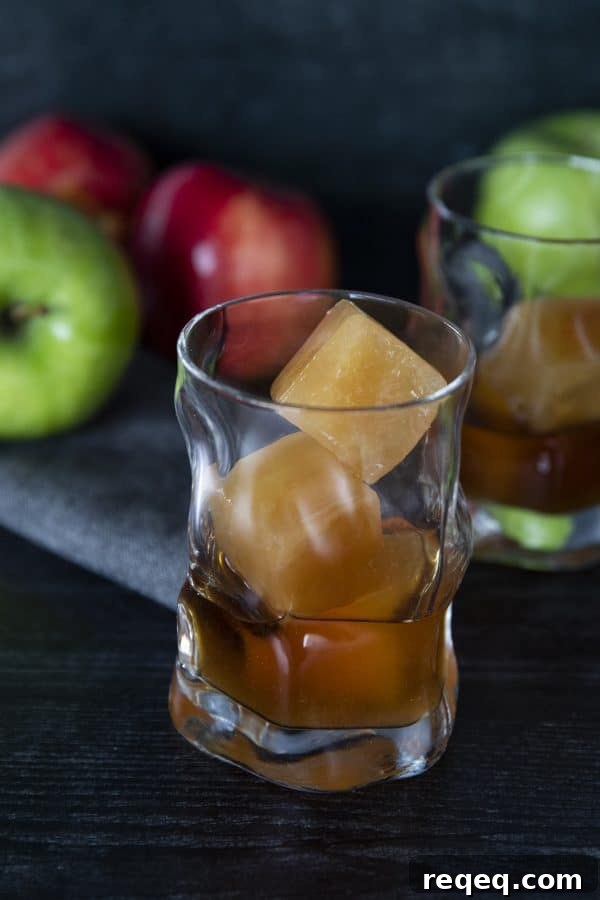 Bourbon Apple Cider Cocktail Recipe for Fall Gatherings 5 img 28147 4