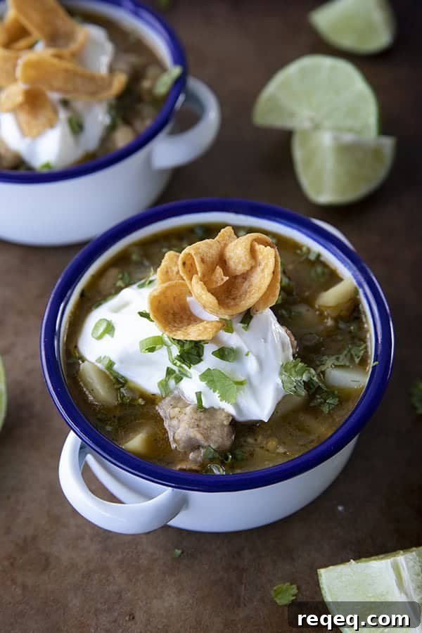 PORK GREEN CHILI IN A WHITE ENAMEL BOWL WITH A BLUE RIM AND HANDLES