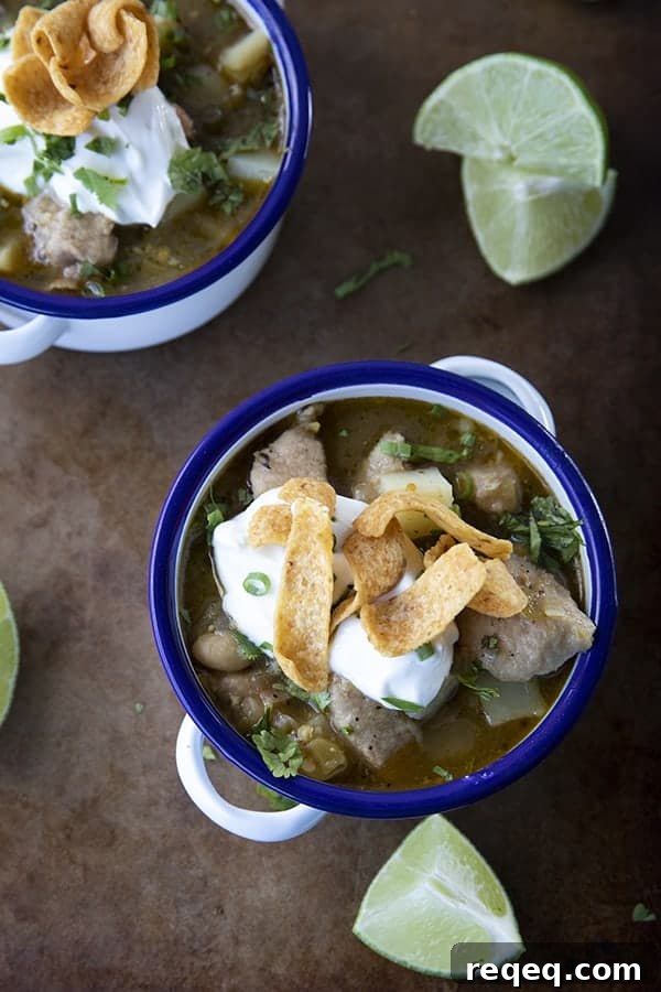 PORK GREEN CHILI IN A WHITE ENAMEL BOWL WITH A BLUE RIM AND HANDLES