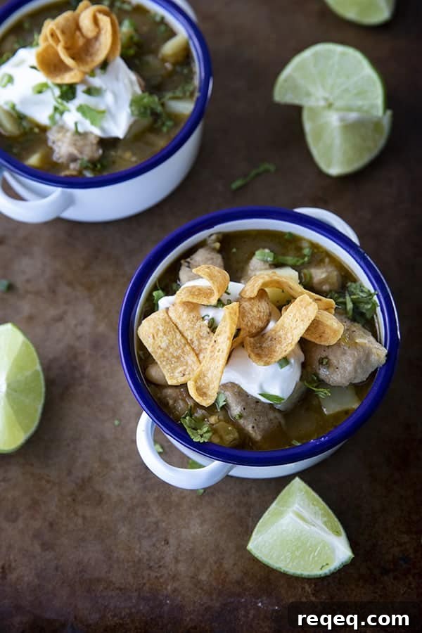 PORK GREEN CHILI IN A WHITE ENAMEL BOWL WITH A BLUE RIM AND HANDLES