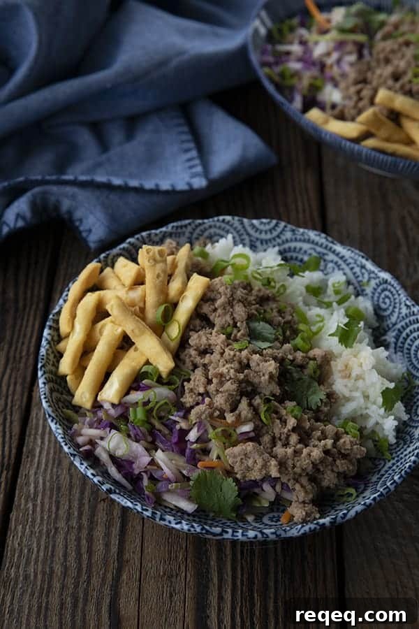 Scoop some of the stir-fried vegetables and some of the pork mixture over hot, cooked rice. Top with wonton strips, if desired, and a sprinkling of fresh cilantro.