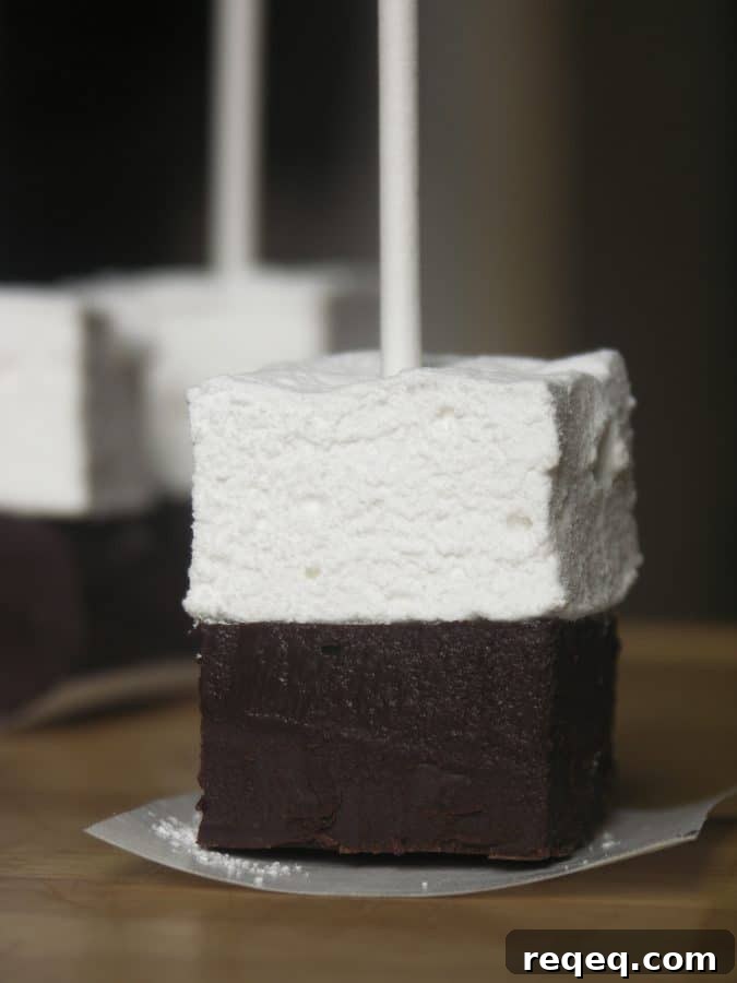 Hot Chocolate on a Stick: creamy chocolate fudge topped with marshmallow can be nibbled or swirled into hot milk.