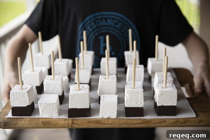 Hot Chocolate on a Stick: creamy chocolate fudge topped with marshmallow can be nibbled or swirled into hot milk.