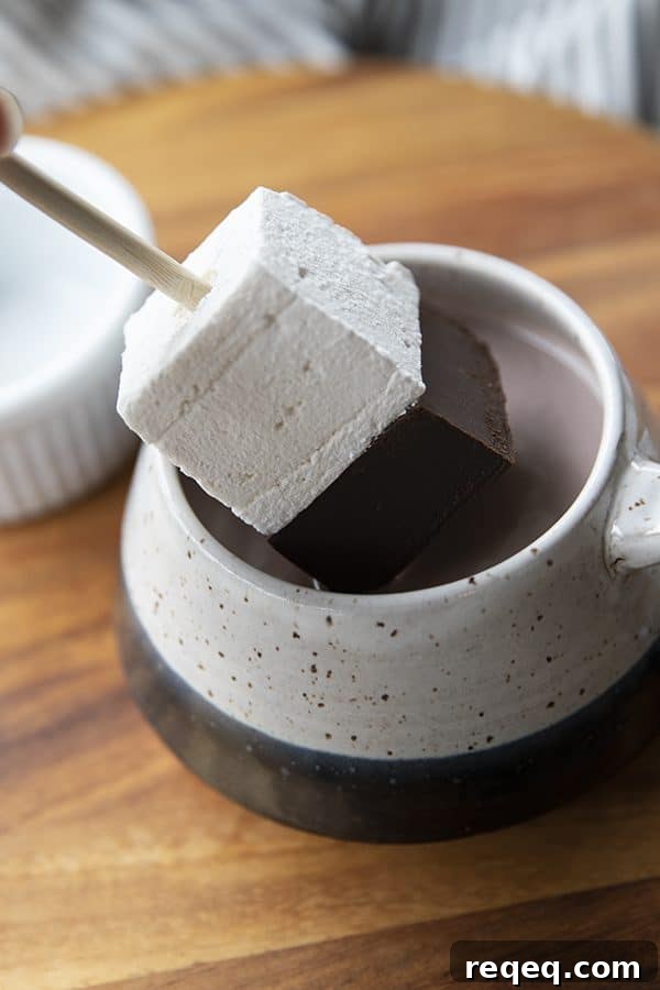 Hot Chocolate on a Stick: creamy chocolate fudge topped with marshmallow can be nibbled or swirled into hot milk.