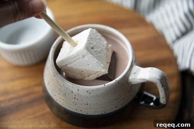 Hot Chocolate on a Stick: creamy chocolate fudge topped with marshmallow can be nibbled or swirled into hot milk.