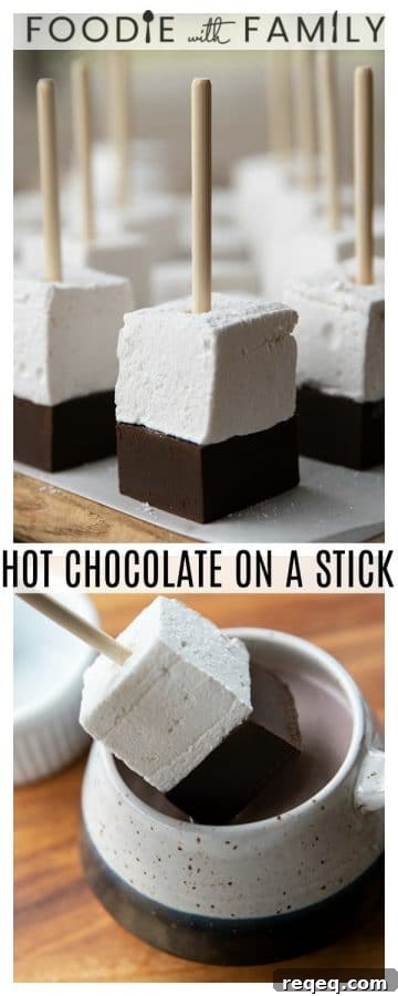Hot Chocolate on a Stick: creamy chocolate fudge topped with marshmallow can be nibbled or swirled into hot milk.