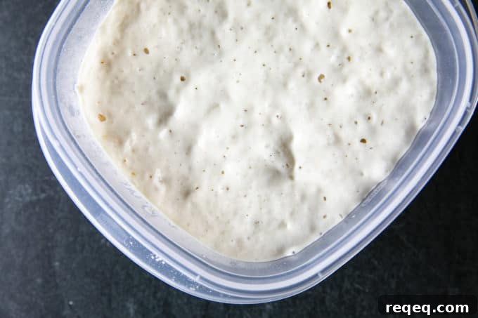 This tutorial shows you how to make a sourdough starter using just flour and water. You'll be ready to bake sourdough bread in as few as 5 days!